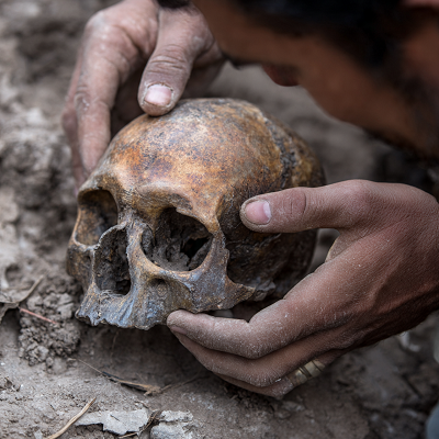 A Million-Year-Old Secret: Ancient Skull Uncovers Hidden Chapter in Human Evolution