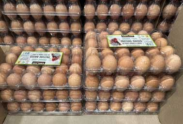 Salmonella Outbreak: Massive Egg Recall Affects Millions of Cartons