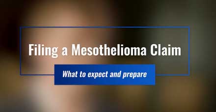 MESOTHELIOMA LUNG CANCER INSURANCE CLAIM GUIDE