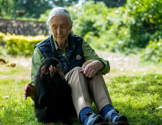 Jane Goodall, Legendary Primatologist and Conservationist, Passes Away at 91